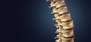 Preserve the Curve – Protecting the Natural Curves of the Spine