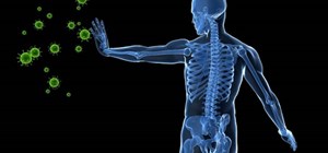 The Effects of Stress on the Immune System