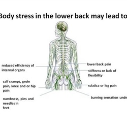 Body Stress In The Lower Backjpg