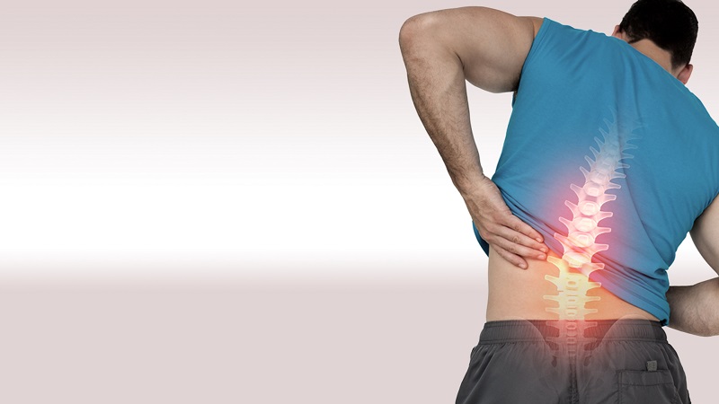 curves of the spine